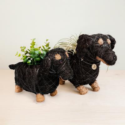 Show full view: LIKHA Dachshund Coco Coir Planter Pot, 4-in slide 8 of 10