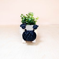 LIKHA Pug Coco Coir Planter Pot, 2.5-in