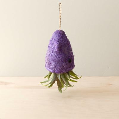 Show full view: LIKHA Squid 2.5-in Coco Coir Hanging Planter, Purple, 5.5 x 5 x 4.75-in slide 3 of 6