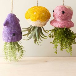 LIKHA Jellyfish 2.5-in Coco Coir Hanging Planter, Yellow/White, 3.75 x 7.5-in slide 2 of 6