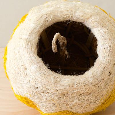 Show full view: LIKHA Jellyfish 2.5-in Coco Coir Hanging Planter, Yellow/White, 3.75 x 7.5-in slide 4 of 6