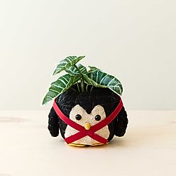 LIKHA Penguin 4-in Coco Coir Planter Pot, Black/White/Red/Yellow, 7 x 7.5 x 5.5-in