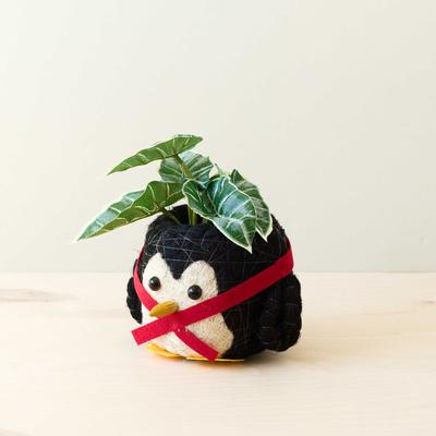 Show full view: LIKHA Penguin 4-in Coco Coir Planter Pot, Black/White/Red/Yellow, 7 x 7.5 x 5.5-in slide 2 of 7