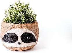 LIKHA Sloth Coco Coir Planter Pot, Dark, 6-in slide 2 of 7