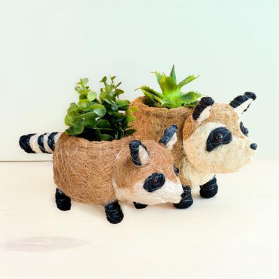 Show full view: LIKHA Raccoon Coco Coir Planter Pot, 4-in slide 8 of 8