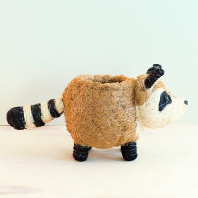 Show full view: LIKHA Raccoon Coco Coir Planter Pot, 4-in slide 6 of 8
