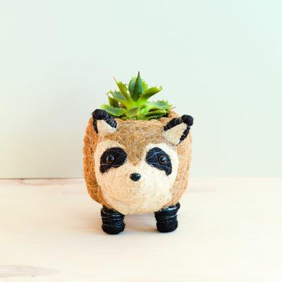 Show full view: LIKHA Raccoon Coco Coir Planter Pot, 4-in slide 2 of 8