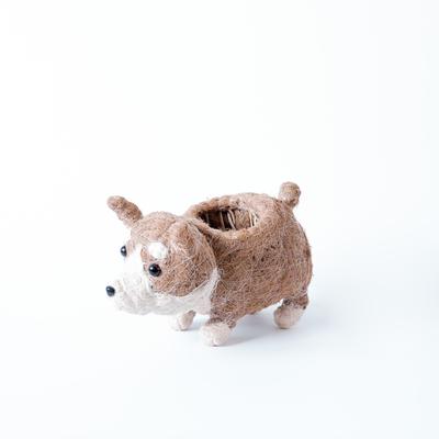 Show full view: LIKHA Corgi Coco Coir Planter Pot, 4-in slide 5 of 6