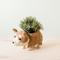 Show in main carousel: LIKHA Corgi Coco Coir Planter Pot, 4-in slide 2 of 6