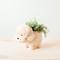 Show in main carousel: LIKHA Poodle 4-in Coco Coir Planter Pot, White, 12 x 6 x 8-in slide 2 of 5