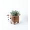 Show in main carousel: LIKHA English Bulldog Coco Coir Planter Pot, 4-in slide 4 of 6