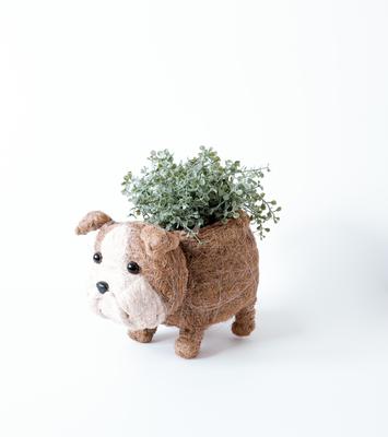 Show full view: LIKHA English Bulldog Coco Coir Planter Pot, 4-in slide 4 of 6