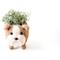 Show in main carousel: LIKHA English Bulldog Coco Coir Planter Pot, 4-in slide 5 of 6