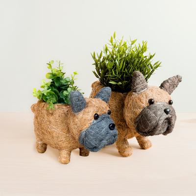 Show full view: LIKHA French Bulldog Coco Coir Planter Pot, 4-in slide 6 of 6
