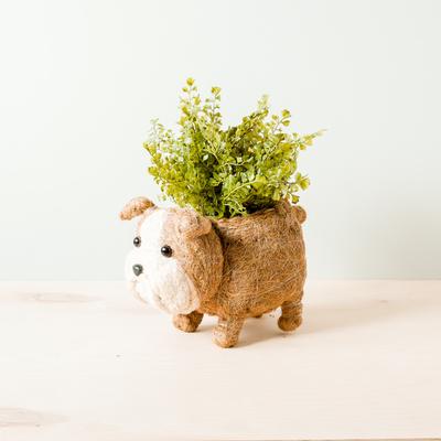 Show full view: LIKHA English Bulldog Coco Coir Planter Pot, 4-in slide 2 of 6