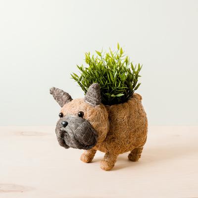 Show full view: LIKHA French Bulldog Coco Coir Planter Pot, 4-in slide 2 of 6