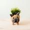 Show in main carousel: LIKHA French Bulldog Coco Coir Planter Pot, 4-in slide 1 of 6