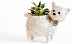 LIKHA Baby Cat 2.5-in Coco Coir Planter Pot, White, 10 x 6.5 x 8-in slide 2 of 5