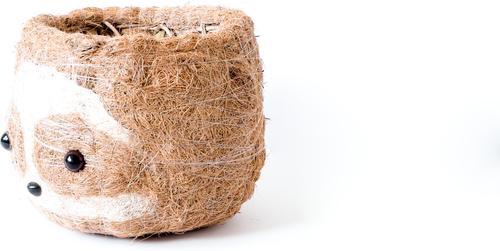 Show full view: LIKHA Sloth Coco Coir Planter Pot, Light, 6-in slide 4 of 8