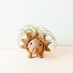 LIKHA Triceratops Coco Coir Planter Pot, 4-in