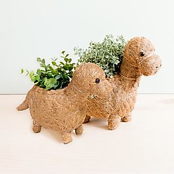 LIKHA Brontosaurus Coco Coir Planter Pot, 4-in slide 2 of 7