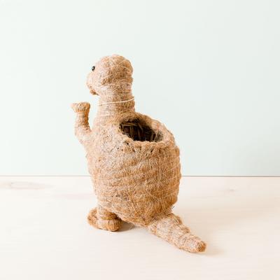 Show full view: LIKHA T-Rex Coco Coir Planter Pot, 4-in slide 3 of 7