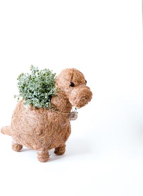 Show full view: LIKHA Brontosaurus Coco Coir Planter Pot, 4-in slide 6 of 7