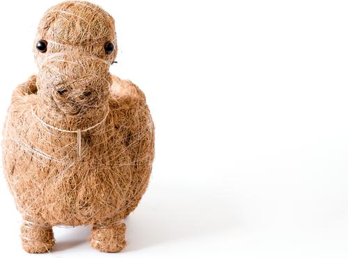 Show full view: LIKHA Brontosaurus Coco Coir Planter Pot, 4-in slide 5 of 7