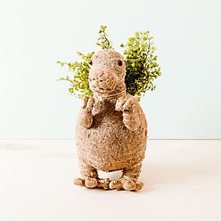 LIKHA T-Rex Coco Coir Planter Pot, 4-in