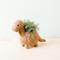 Show in main carousel: LIKHA Brontosaurus Coco Coir Planter Pot, 4-in slide 1 of 7