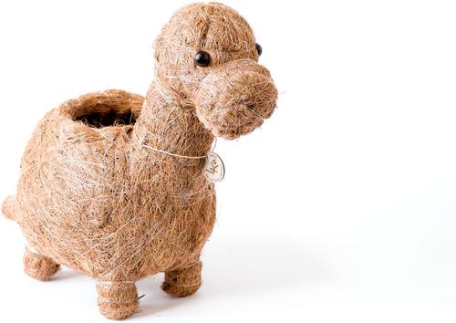 Show full view: LIKHA Brontosaurus Coco Coir Planter Pot, 4-in slide 4 of 7