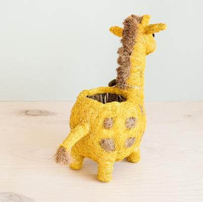 Show full view: LIKHA Giraffe Coco Coir Planter Pot, 4-in slide 4 of 8
