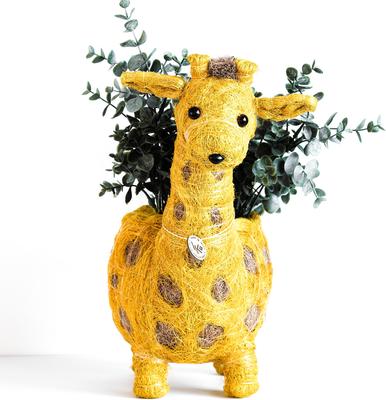 Show full view: LIKHA Giraffe Coco Coir Planter Pot, 4-in slide 5 of 8