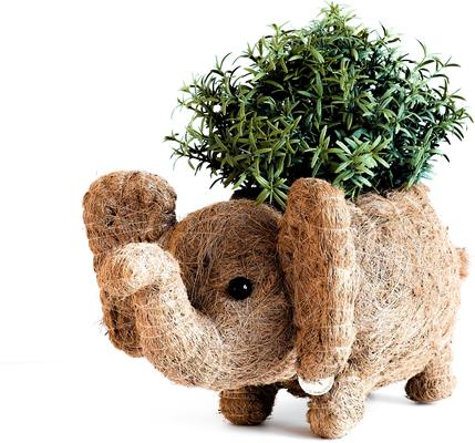 Show full view: LIKHA Elephant Coco Coir Planter Pot, 4-in slide 5 of 6