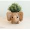 Show in main carousel: LIKHA Elephant Coco Coir Planter Pot, 4-in slide 2 of 6