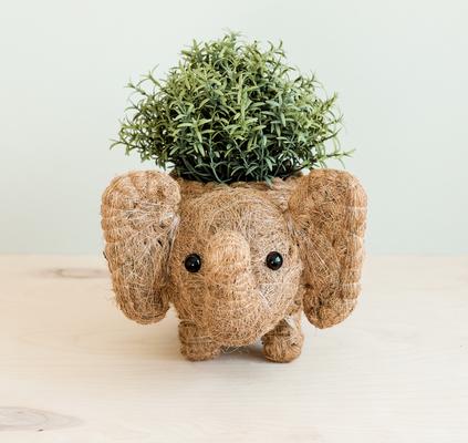 Show full view: LIKHA Elephant Coco Coir Planter Pot, 4-in slide 2 of 6