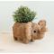 Show in main carousel: LIKHA Elephant Coco Coir Planter Pot, 4-in slide 1 of 6