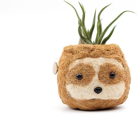 Show full view: LIKHA Sloth Coco Coir Planter Pot, Light, 2.5-in slide 7 of 9