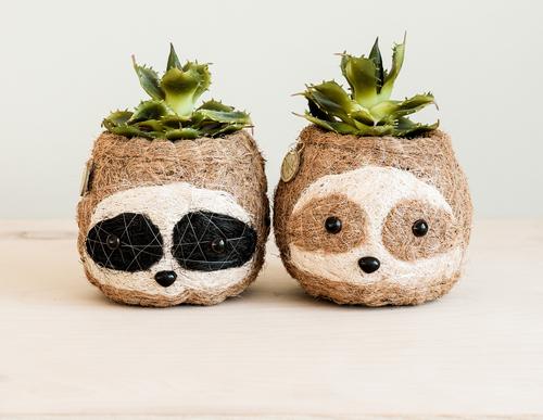 Show full view: LIKHA Sloth Coco Coir Planter Pot, Light, 2.5-in slide 8 of 9