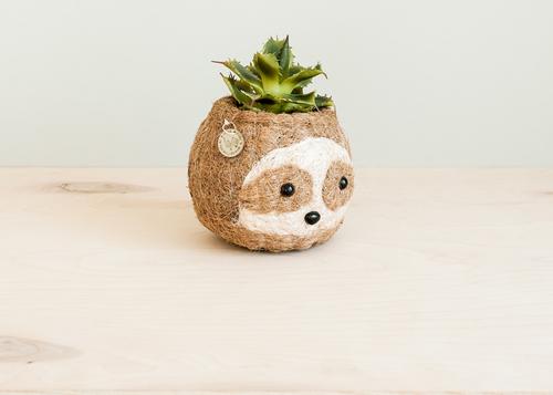 Show full view: LIKHA Sloth Coco Coir Planter Pot, Light, 2.5-in slide 2 of 9