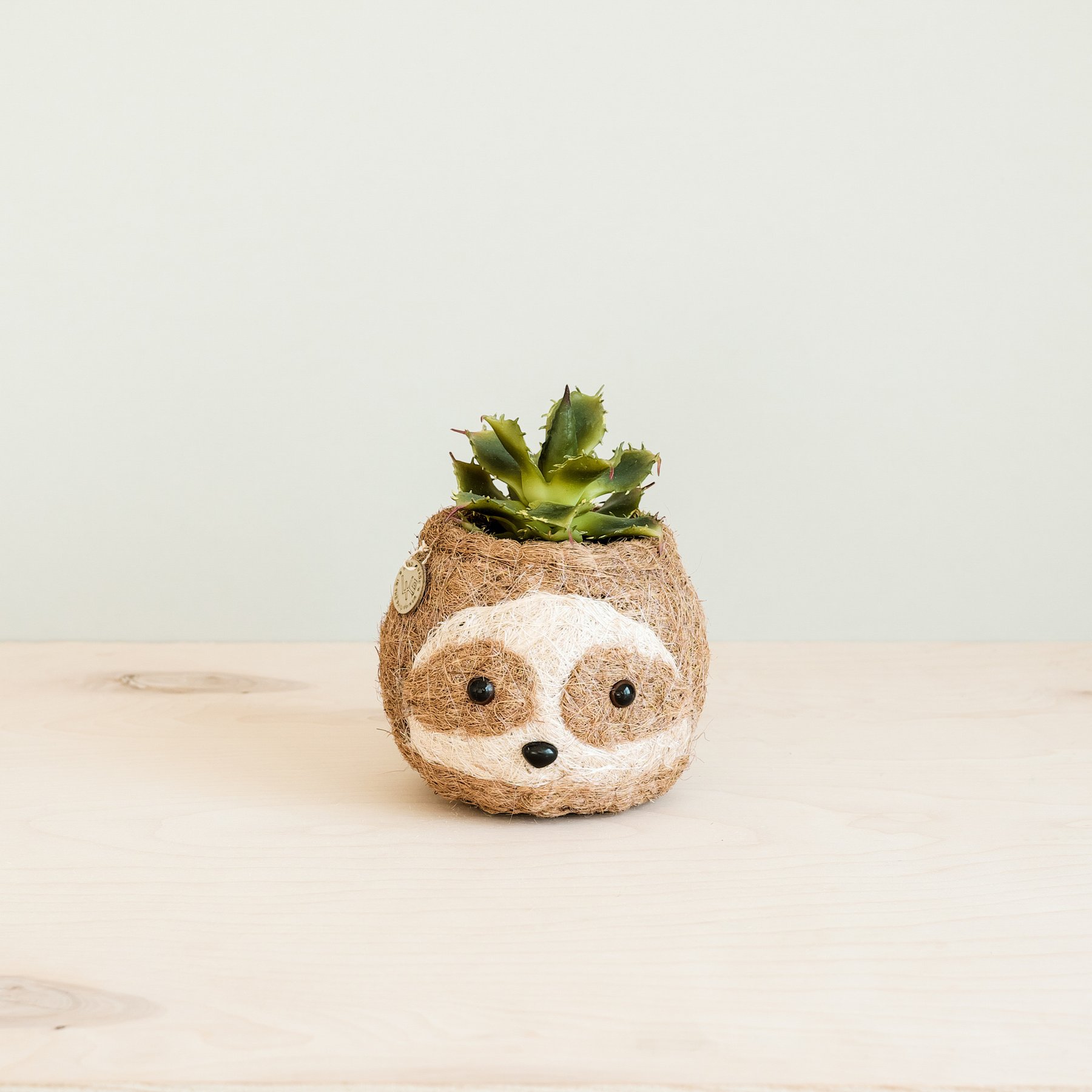 LIKHA Sloth Coco Coir Planter Pot, Light, 2.5-in