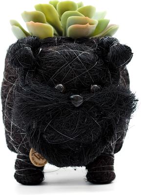 Show full view: LIKHA Schnauzer Coco Coir Planter Pot, 4-in slide 6 of 8