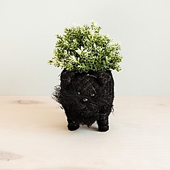 LIKHA Schnauzer Coco Coir Planter Pot, 4-in
