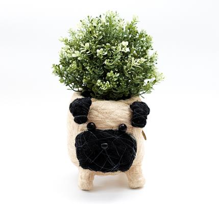 Show full view: LIKHA Pug Coco Coir Planter Pot, 4-in slide 5 of 7
