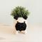Show in main carousel: LIKHA Pug Coco Coir Planter Pot, 4-in slide 1 of 7