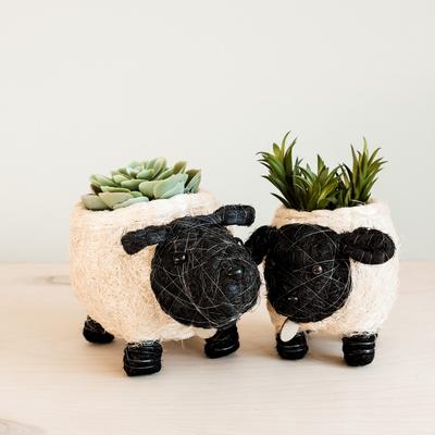 Show full view: LIKHA Sheep Coco Coir Planter Pot, Black/White, 2.5-in slide 7 of 7