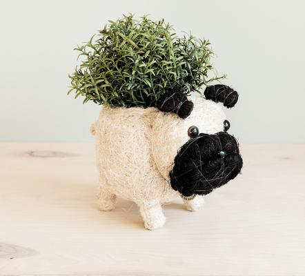 Show full view: LIKHA Pug Coco Coir Planter Pot, 4-in slide 2 of 7