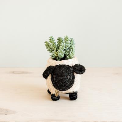Show full view: LIKHA Sheep Coco Coir Planter Pot, Black/White, 2.5-in slide 2 of 7