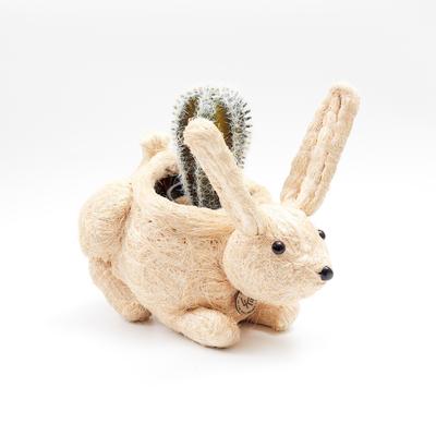 Show full view: LIKHA Bunny Coco Coir Planter Pot, 4-in slide 5 of 7