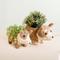 Show in main carousel: LIKHA Corgi Coco Coir Planter Pot, 2.5-in slide 8 of 8